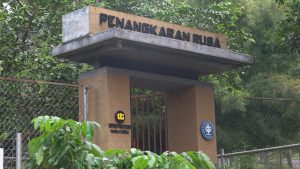 Foto-Kehati-3.jpg