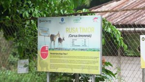 Foto-Kehati-4.jpg