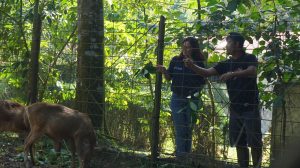 Kahati-slider-fauna-11.jpg