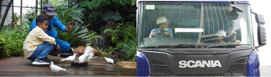 Nono's visit to the Aviary (left photo), Nono rode a Scania truck accompanied by UT (Right photo).