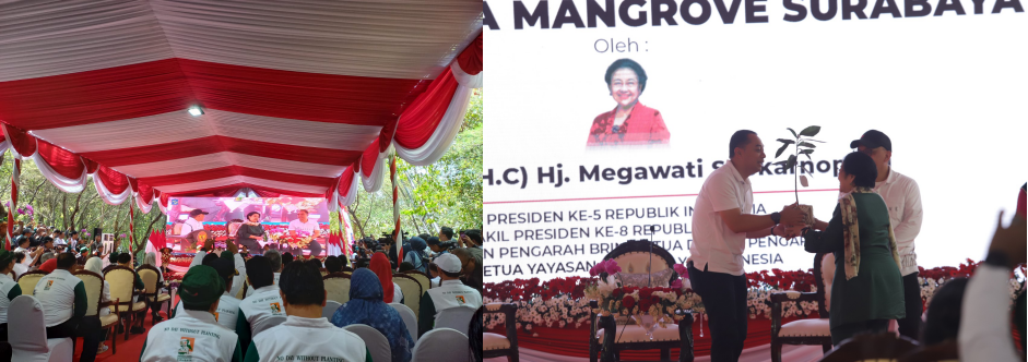 The inauguration of the Mangrove Botanical Gardens was attended by Megawati Soekarnoputri.