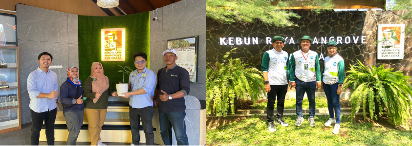 Symbolically handover of rare mangrove seedlings of the criteria littoral type by UT to the Surabaya Mangrove Botanical Gardens.