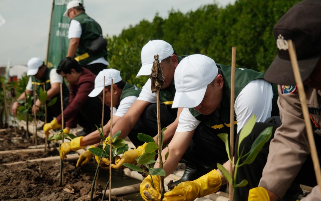 Tingkatkan Komitmen Perseroan terhadap Lingkungan, KPP Mining Ajak Pelajar di Semarang Tanam 10.000 Pohon Mangrove