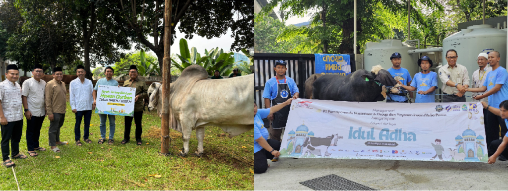 Pelaksanaan kurban oleh PT United Tractors Tbk (foto kiri) dan PT Pamapersada Nusantara (foto kanan).
