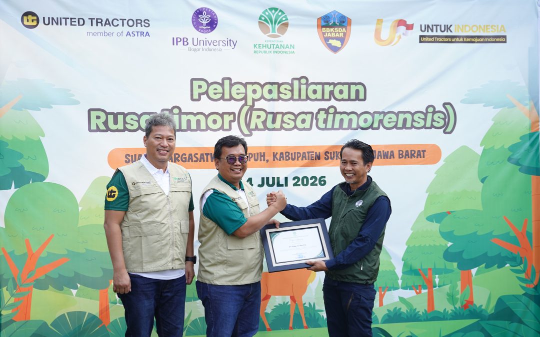 Sukses Konservasi Keanekaragaman Hayati, United Tractors Lepasliarkan 10 Rusa Timor di Kawasan Margasatwa Cikepuh