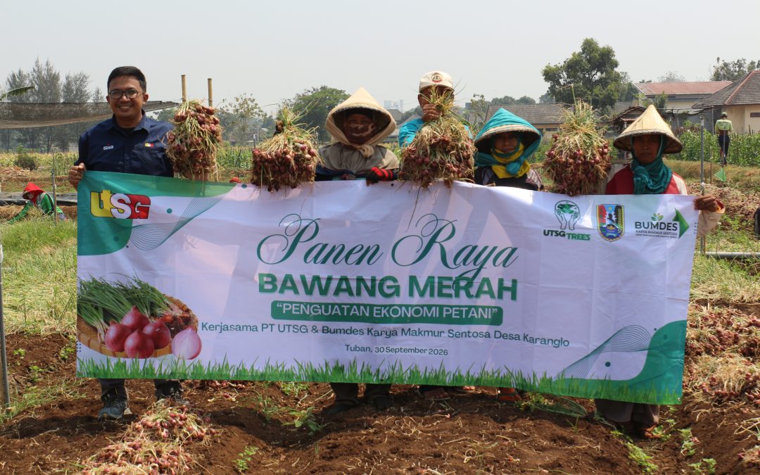 United Tractors Semen Gresik Dukung Ketahanan Pangan Desa melalui Panen Kedua Bawang Merah Karanglo